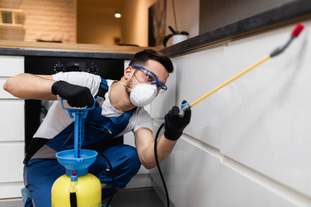 Best Exterminator Services  in Walbridge, OH