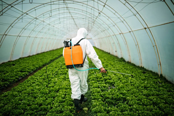 Best Best Pest Control Near Me  in Walbridge, OH