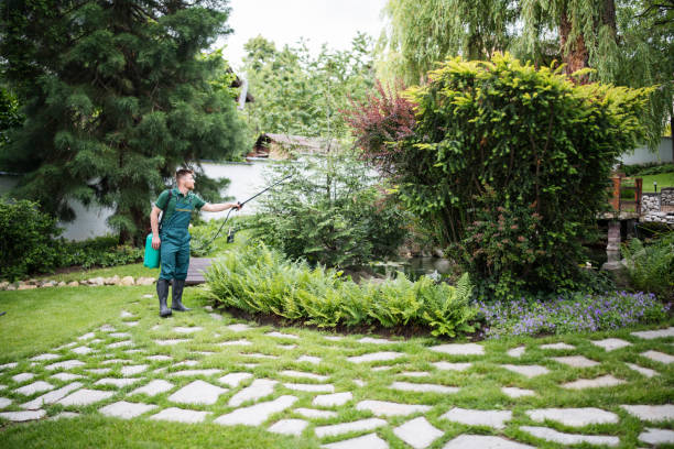Wildlife Control Services in Walbridge, OH