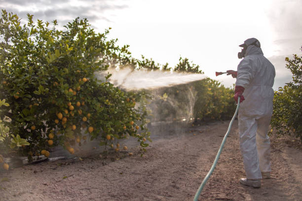 Best Commercial Pest Control Services  in Walbridge, OH