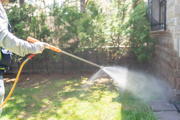 Best Insect Control  in Walbridge, OH