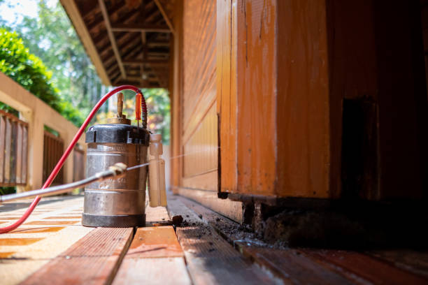Best Best Pest Control Companies  in Walbridge, OH
