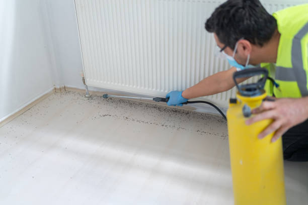 Best Mosquito Control Services  in Walbridge, OH